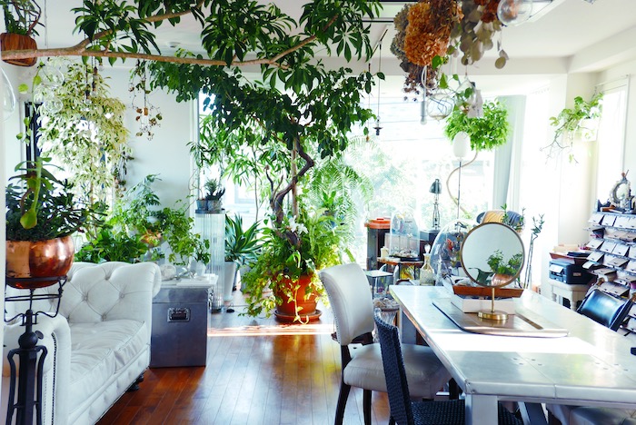 我が家の「偏愛」お見せします！grenデザイナー山田みどりさん「植物と