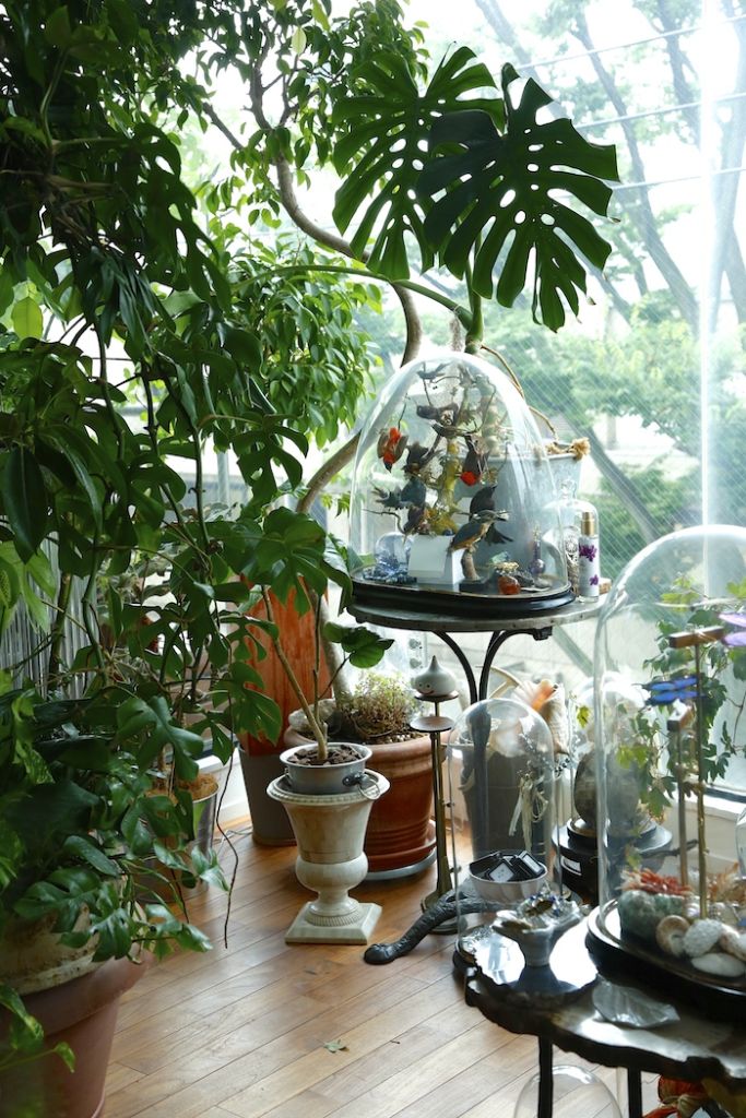 我が家の「偏愛」お見せします！grenデザイナー山田みどりさん「植物と