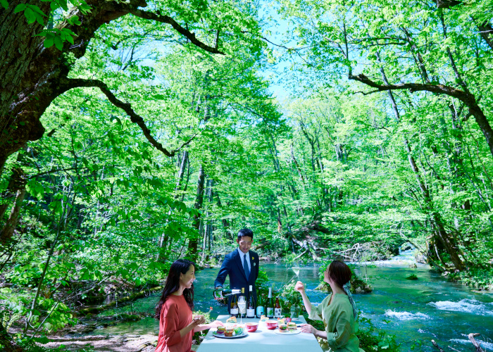 奥入瀬新緑 新緑の奥入瀬渓流（青森県 奥入瀬川）：東北の川風景 100景