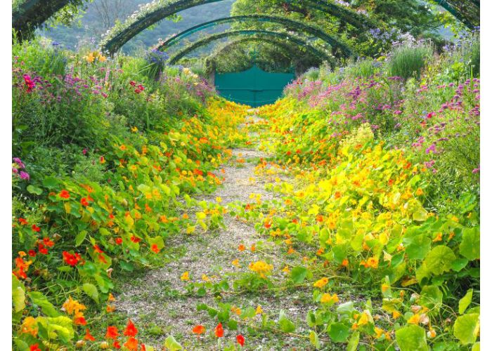 モネの庭」をはじめ、豊かな自然あふれるユズの里 高知県北川村へ