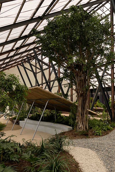 大多喜有用植物苑_軒下リビング