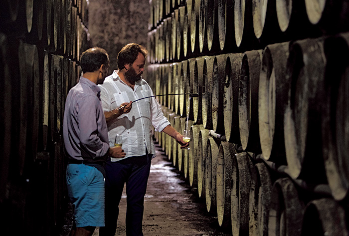 スペイン_ボデガ